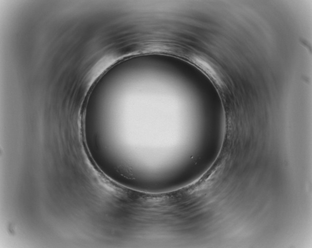 X0000096461047200801241402