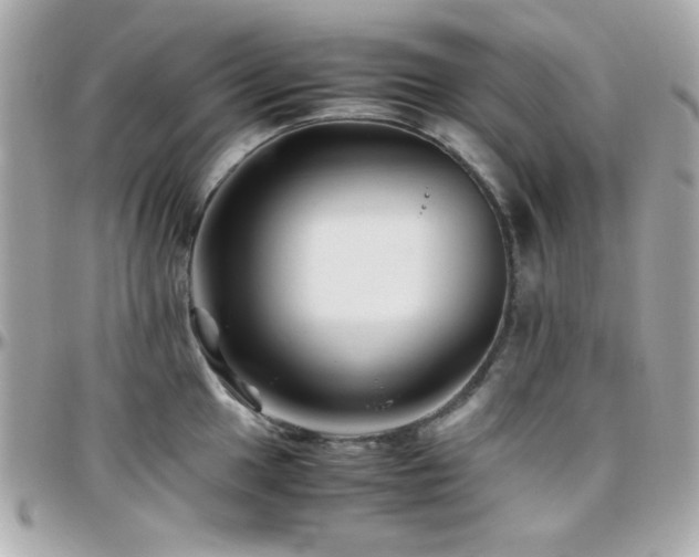 X0000096461049200801241402