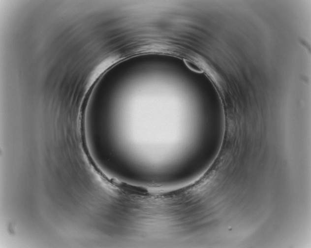 X0000096461050200801241402