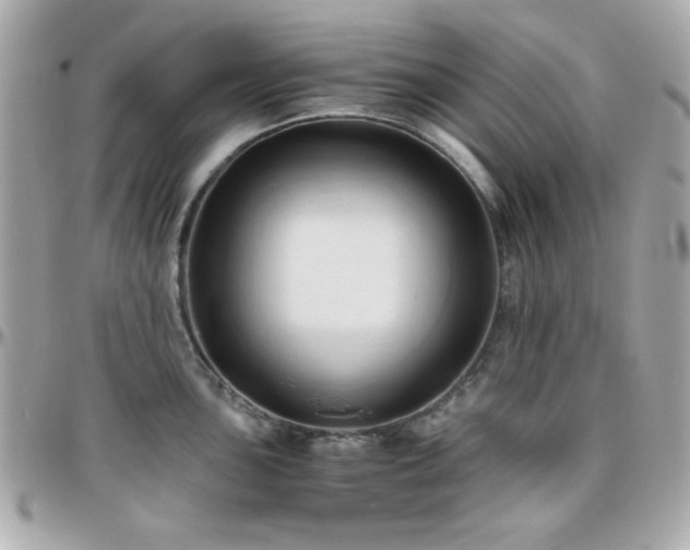 X0000096461051200801241402