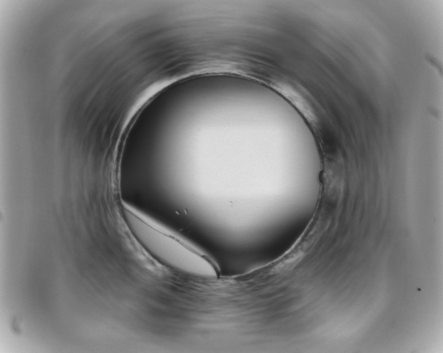 X0000096461052200801241402
