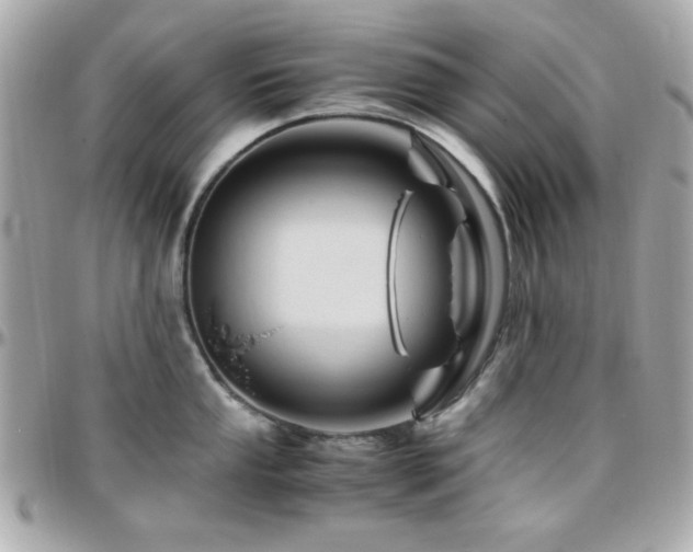 X0000096461053200801241402