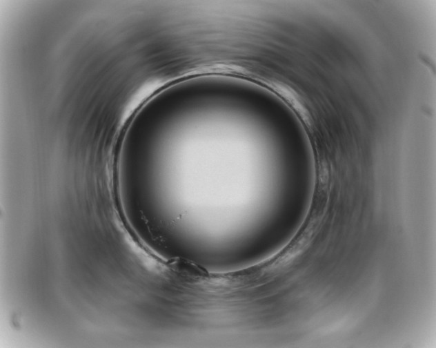 X0000096461054200801241402