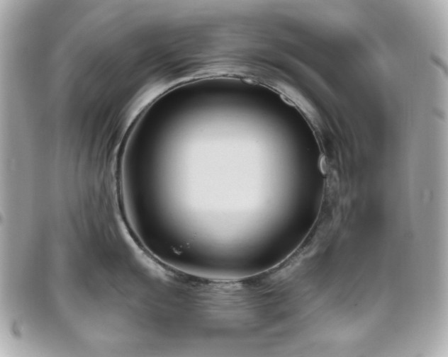 X0000096461055200801241402