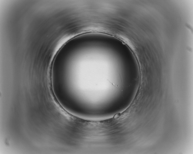 X0000096461056200801241402