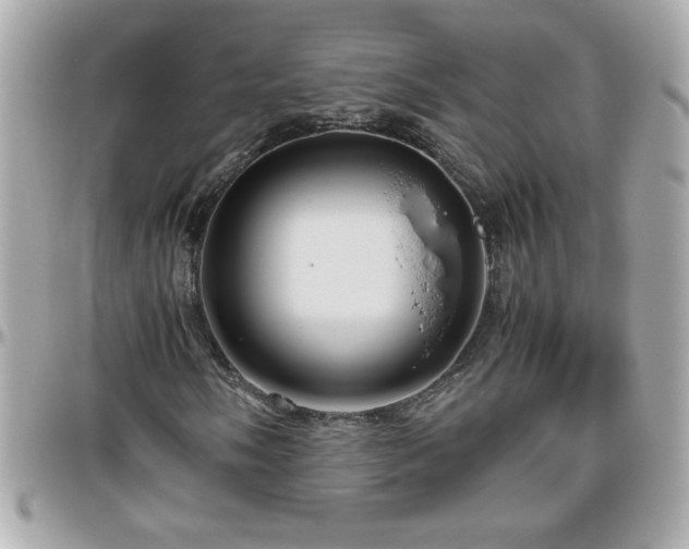 X0000096461058200801241402