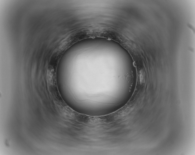 X0000096461059200801241402