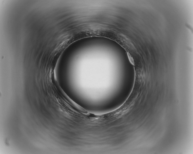 X0000096461060200801241402