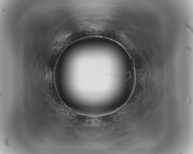 X0000096461061200801241402