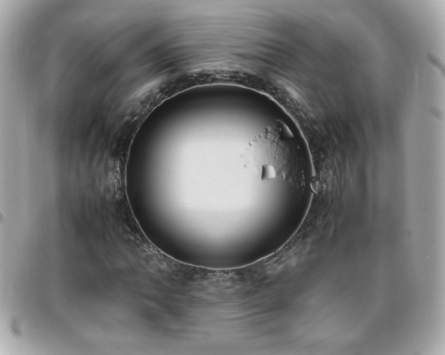 X0000096461062200801241402