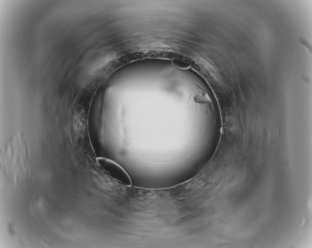 X0000096461063200801241402