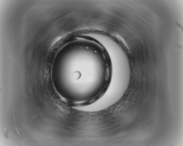 X0000096461064200801241402