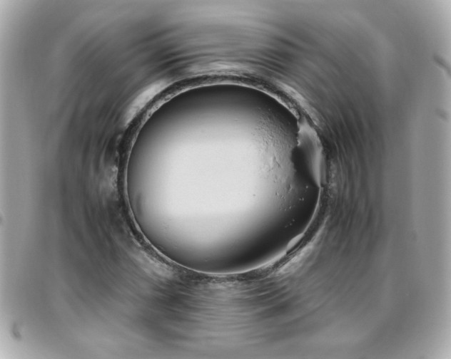 X0000096461066200801241402
