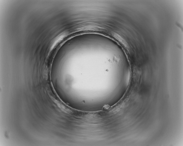 X0000096461067200801241402