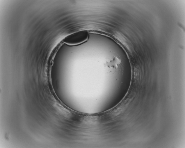 X0000096461068200801241402
