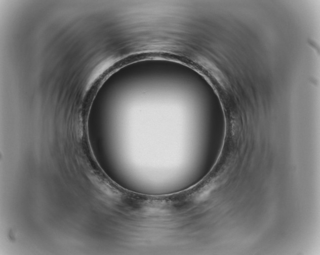 X0000096461069200801241401