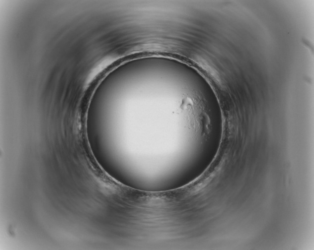 X0000096461070200801241401