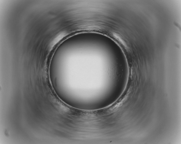 X0000096461071200801241401
