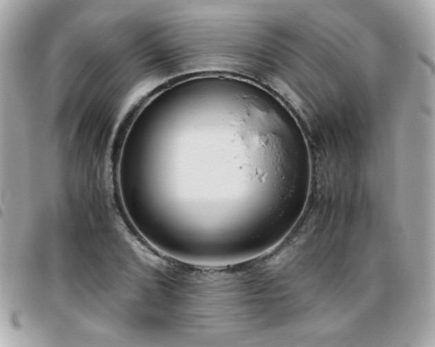 X0000096461072200801241401