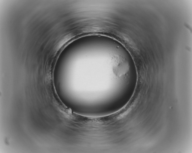 X0000096461073200801241401