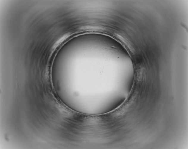 X0000096461074200801241401