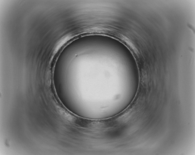 X0000096461075200801241401