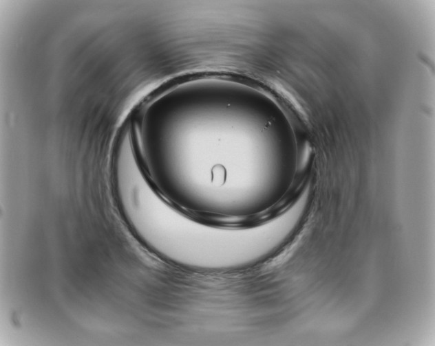 X0000096461077200801241401