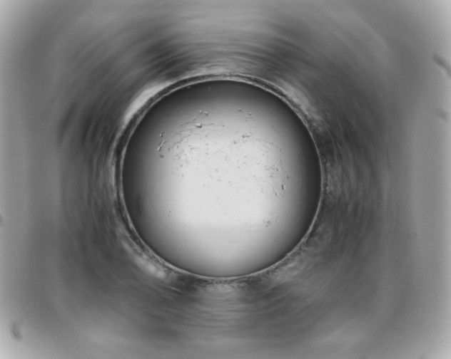 X0000096461078200801241401