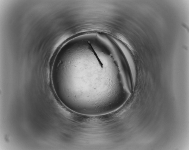 X0000096461079200801241401