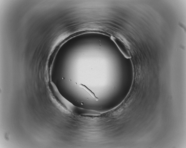 X0000096461080200801241401
