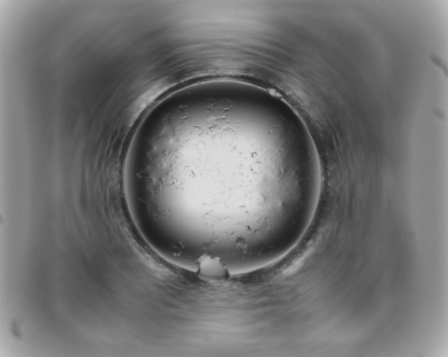 X0000096461081200801241401