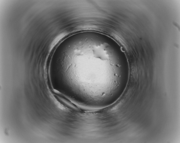 X0000096461082200801241401