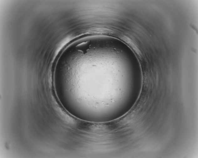 X0000096461083200801241401