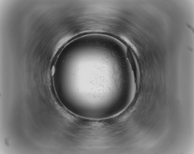 X0000096461085200801241401