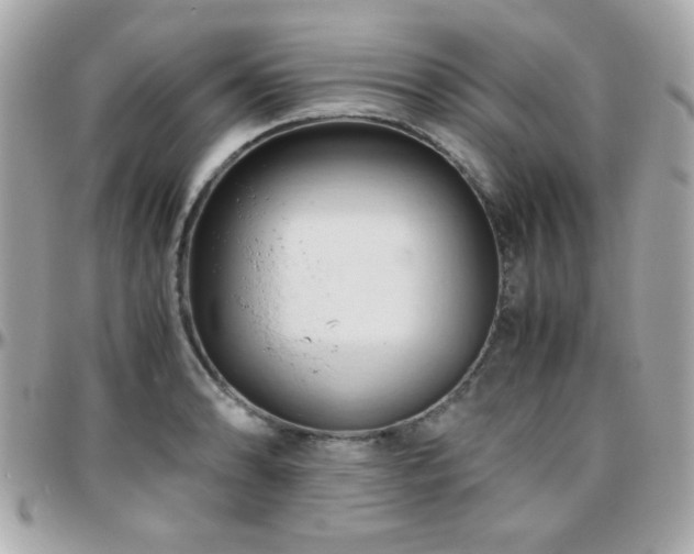 X0000096461086200801241401