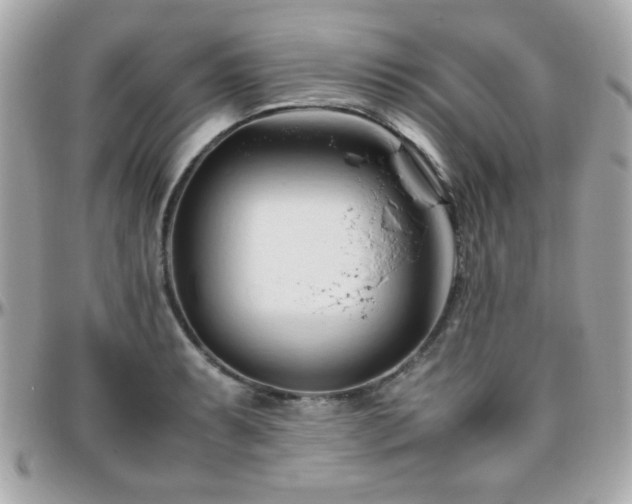 X0000096461087200801241401