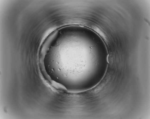 X0000096461088200801241401