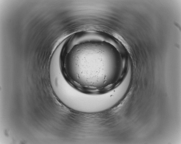 X0000096461089200801241401