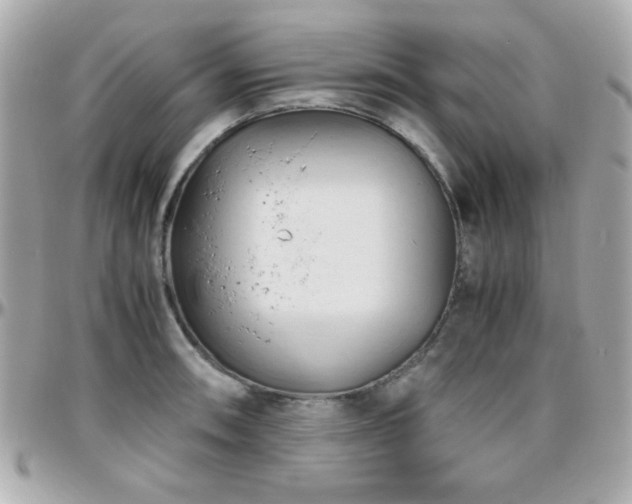 X0000096461090200801241401