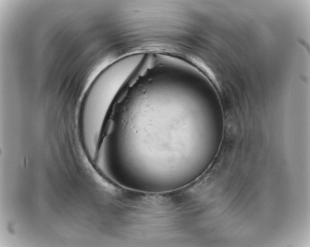 X0000096461091200801241401