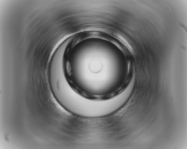 X0000096461092200801241401