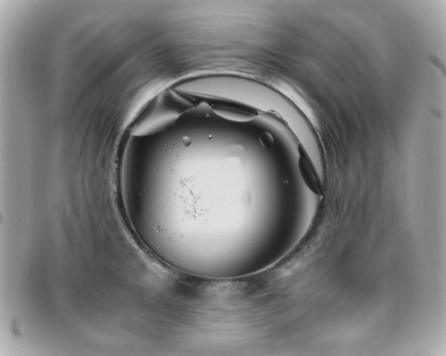 X0000096461093200801241401