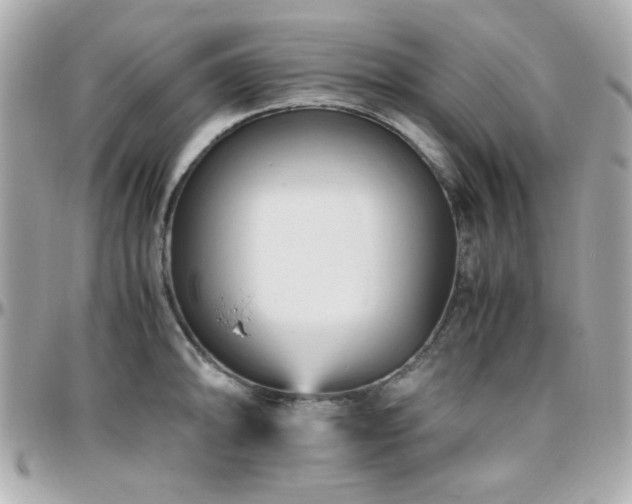 X0000096461094200801241401