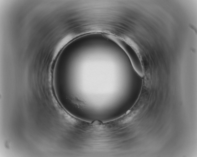 X0000096461096200801241401