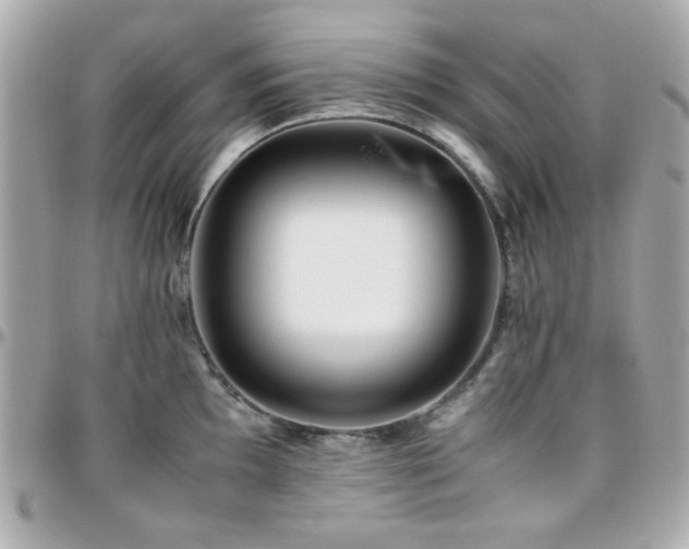 X0000096461097200801241401