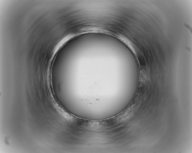 X0000096461098200801241401