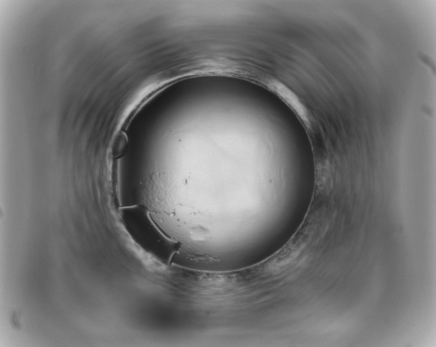 X0000096461099200801241401