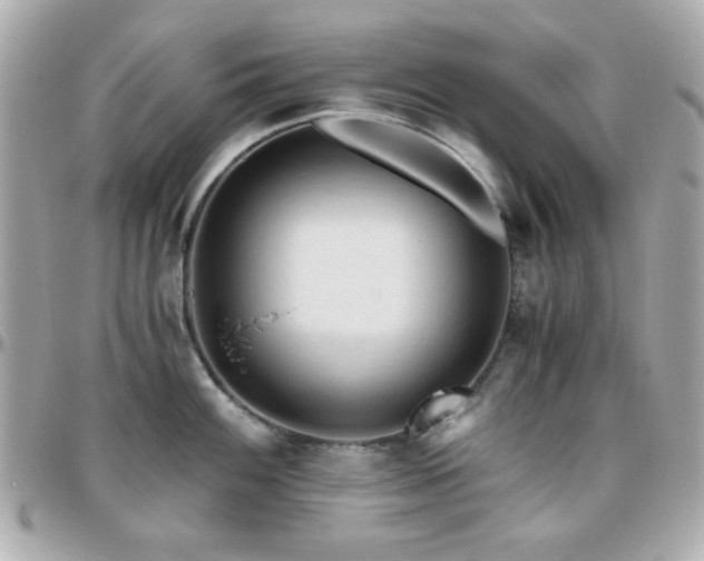 X0000096461100200801241401
