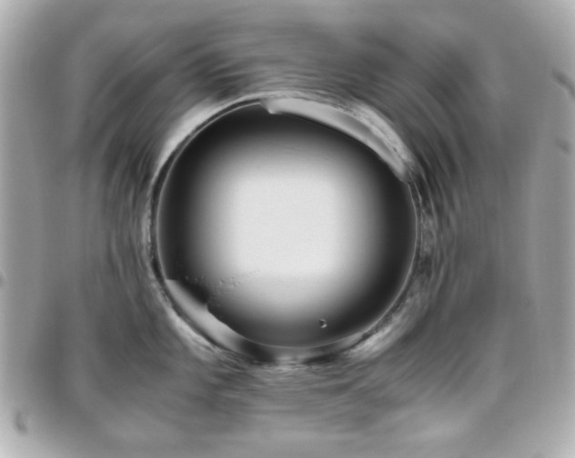 X0000096461101200801241401