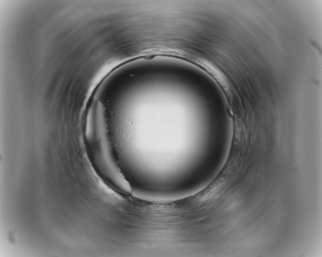 X0000096461102200801241401